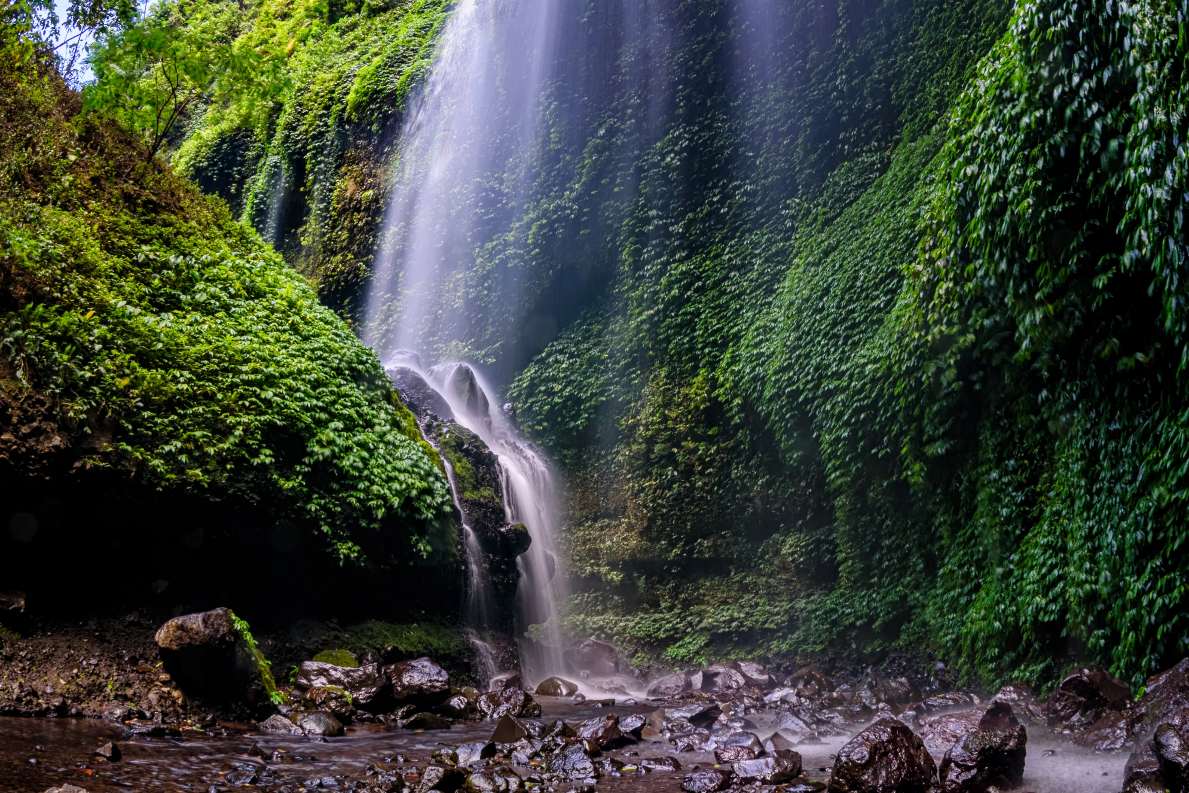 Probolinggo[1].webp